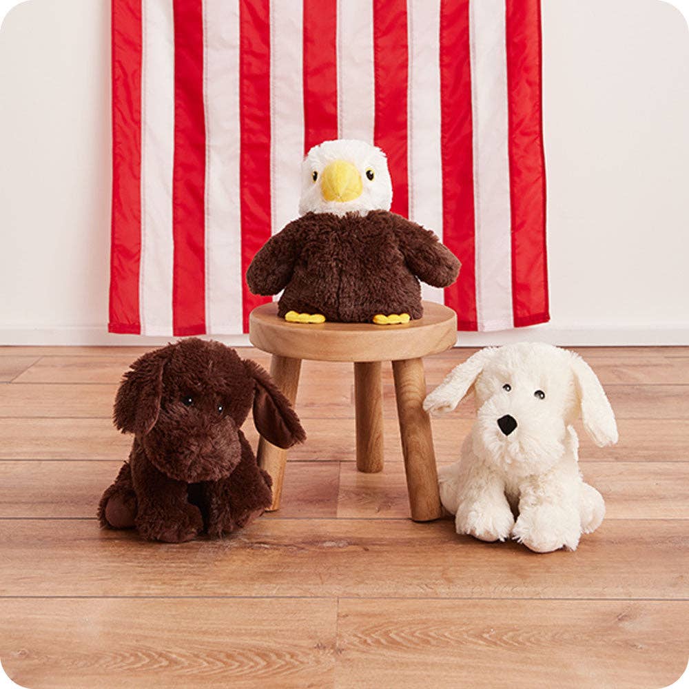 Chocolate Labrador Lavender Warmies Plush