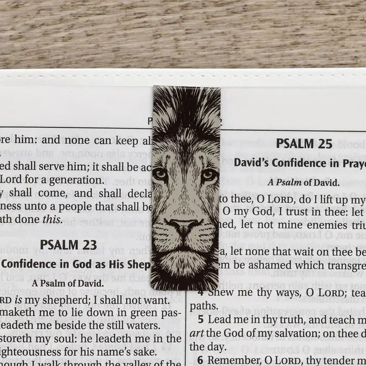 Magnetic Bookmark Set Strong and Courageous
