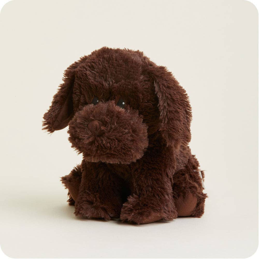 Chocolate Labrador Lavender Warmies Plush
